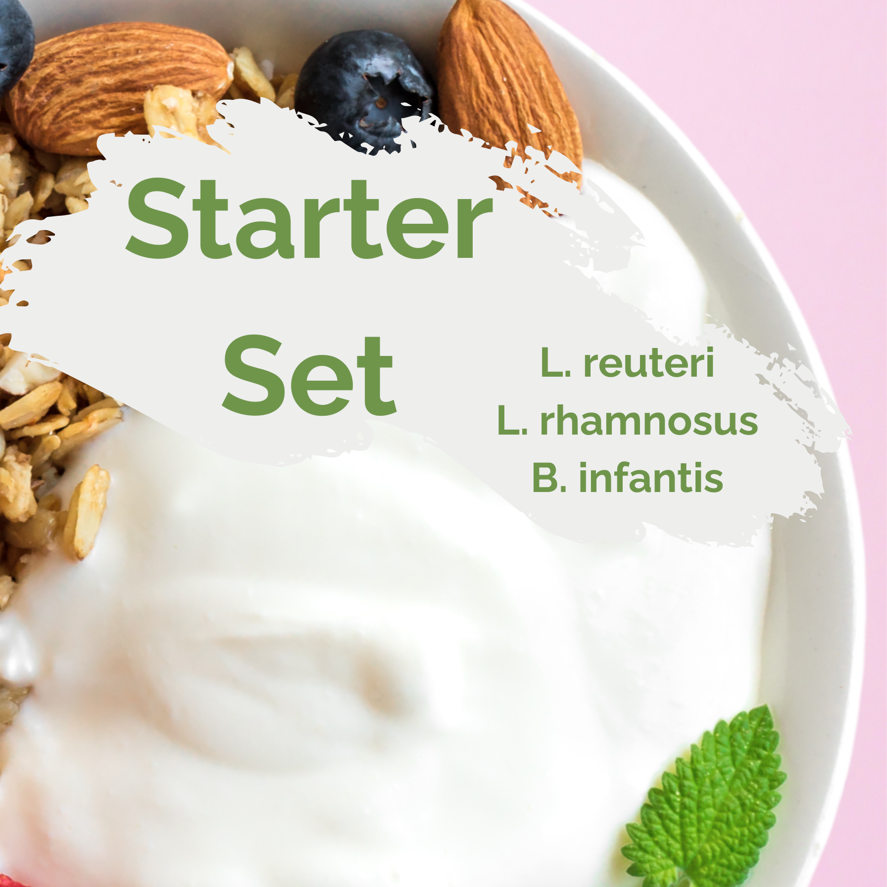 Startpakket "Happy Gut" | Yoghurtstarter L. reuteri, L. rhamnosus, B. infantis